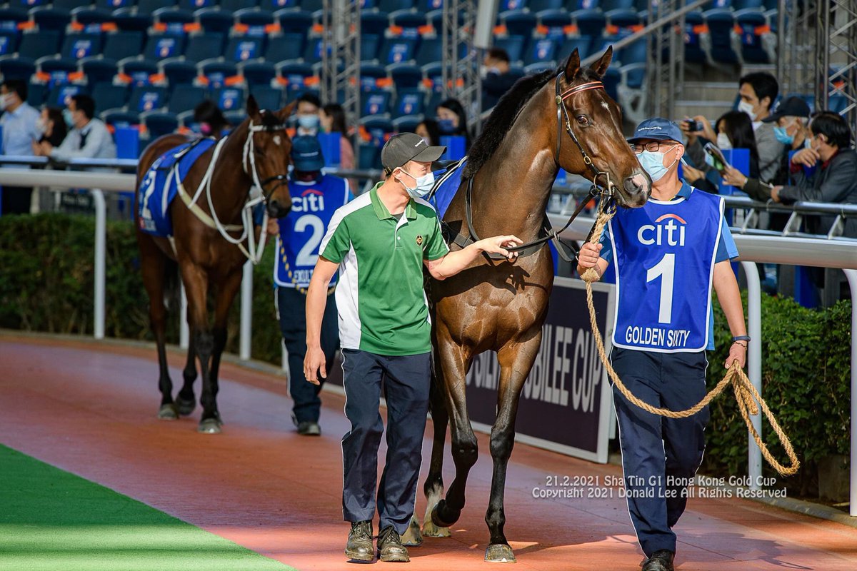 LeeMingDonald's tweet photo. The two champions #GoldenSixty #Exultant #HKracing https://t.co/6QV3z3sycs