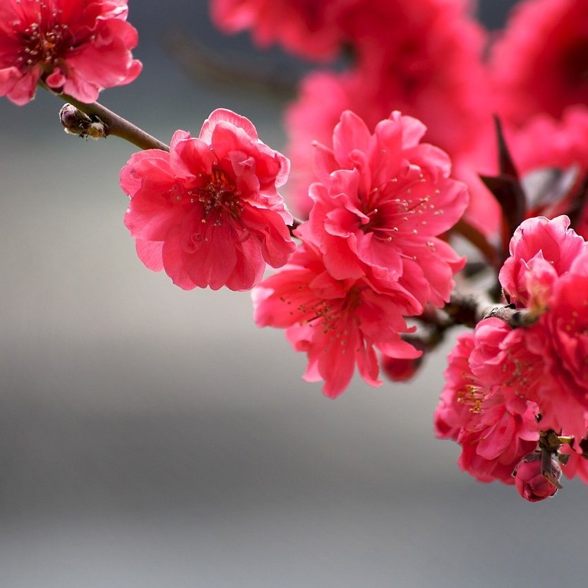 GlobalGracious's tweet photo. #Beautiful Nature 
#Save the environment https://t.co/ycjZ84htve
