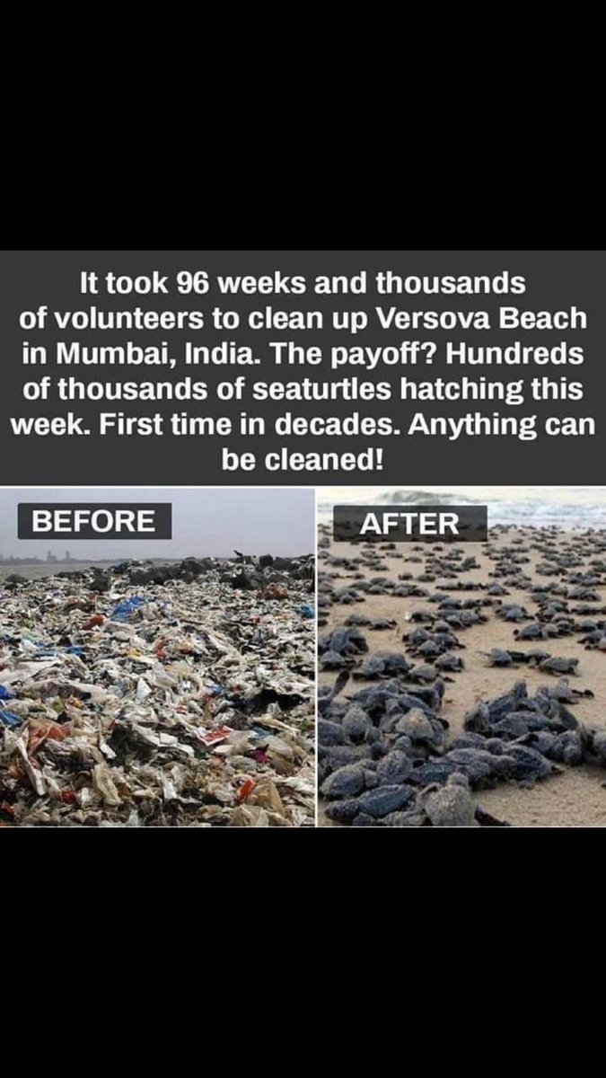 rkbnow's tweet image. Brilliant! Bloody Brilliant!
⁦@AfrozShah1⁩ you are the MAN!
And all the volunteers who have been working with you daily!
#MumbaiShowsTheWay