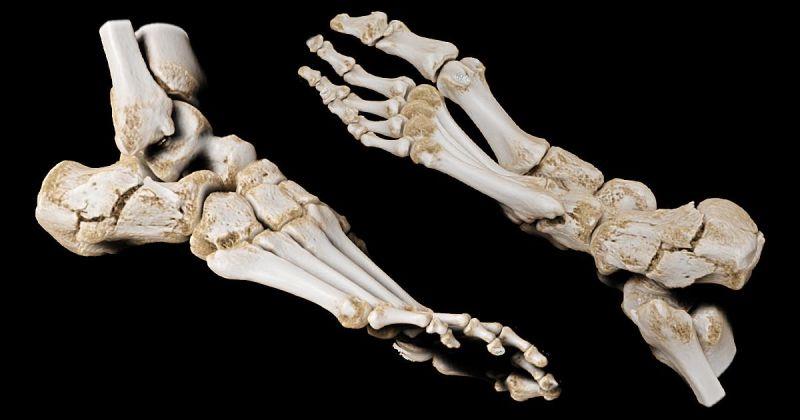 CanonMedicalEU's tweet photo. Check out these images of a calcaneus fracture. See how well delineated the bone surface and fracture depth are? That's #GlobalIllumination, the new standard in advanced visualization. #MadePossible

Visit https://t.co/lBSQuwQ23q for more.

#advancedvisualisation https://t.co/pWr8PbfxBF