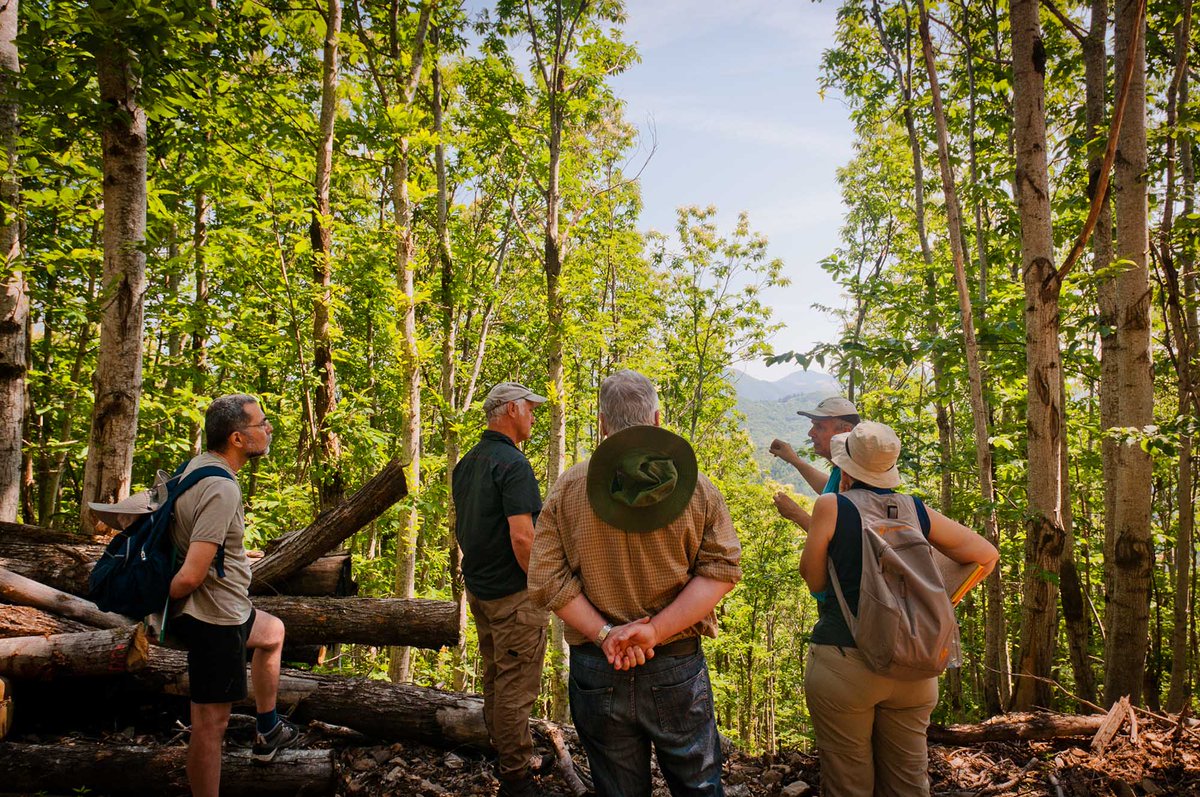 #gestiondurable des forêts 🌲
Le <a href="/PNRHL/">PNR du Haut-Languedoc</a> lance son 3e concours #Sylvotrophée dans les forêts du #HautLanguedoc, afin de récompenser les propriétaires forestiers qui gèrent leur #forêt de façon #durable et multifonctionnelle.
👉 Candidatez jusqu'au 30 avril: bit.ly/2Mdz81E