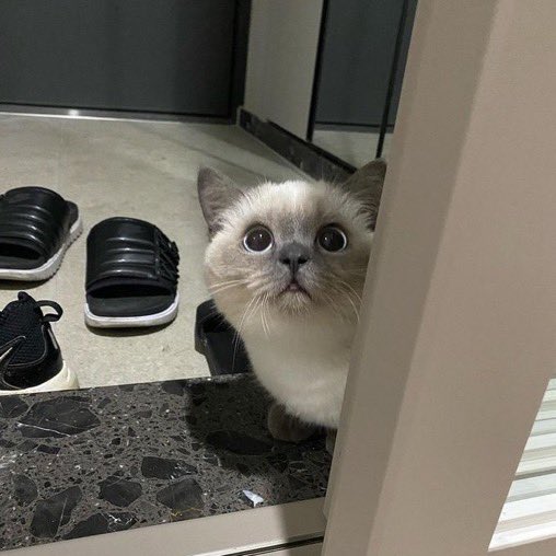 จัมเค้าได้เป่า