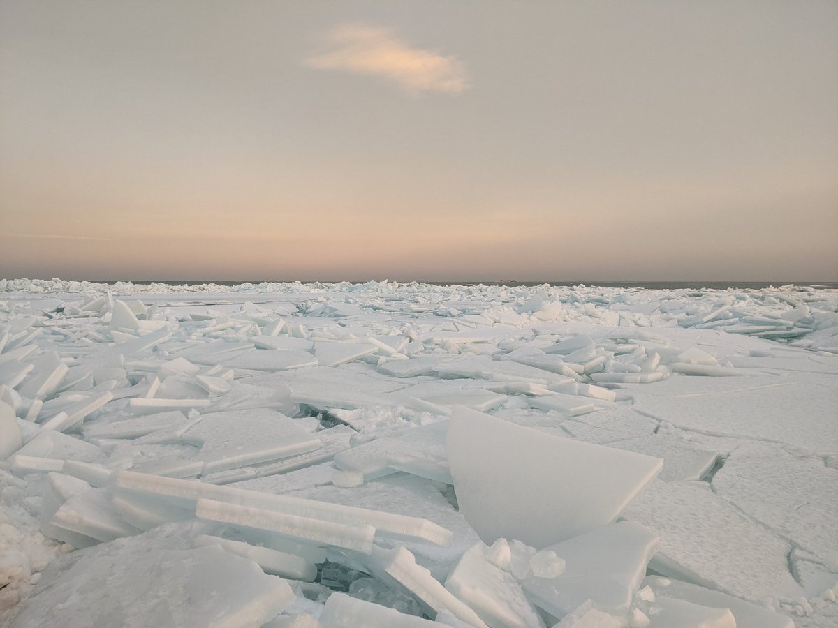 Ari Weil tweet media