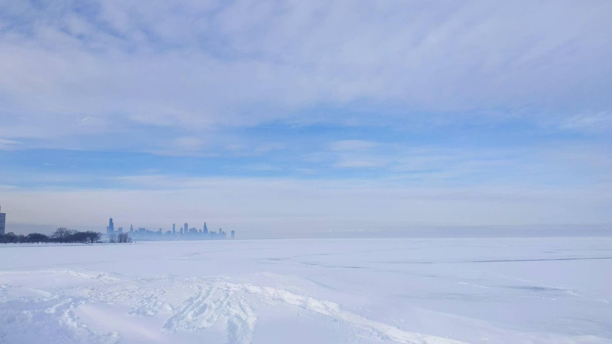 Ari Weil tweet media