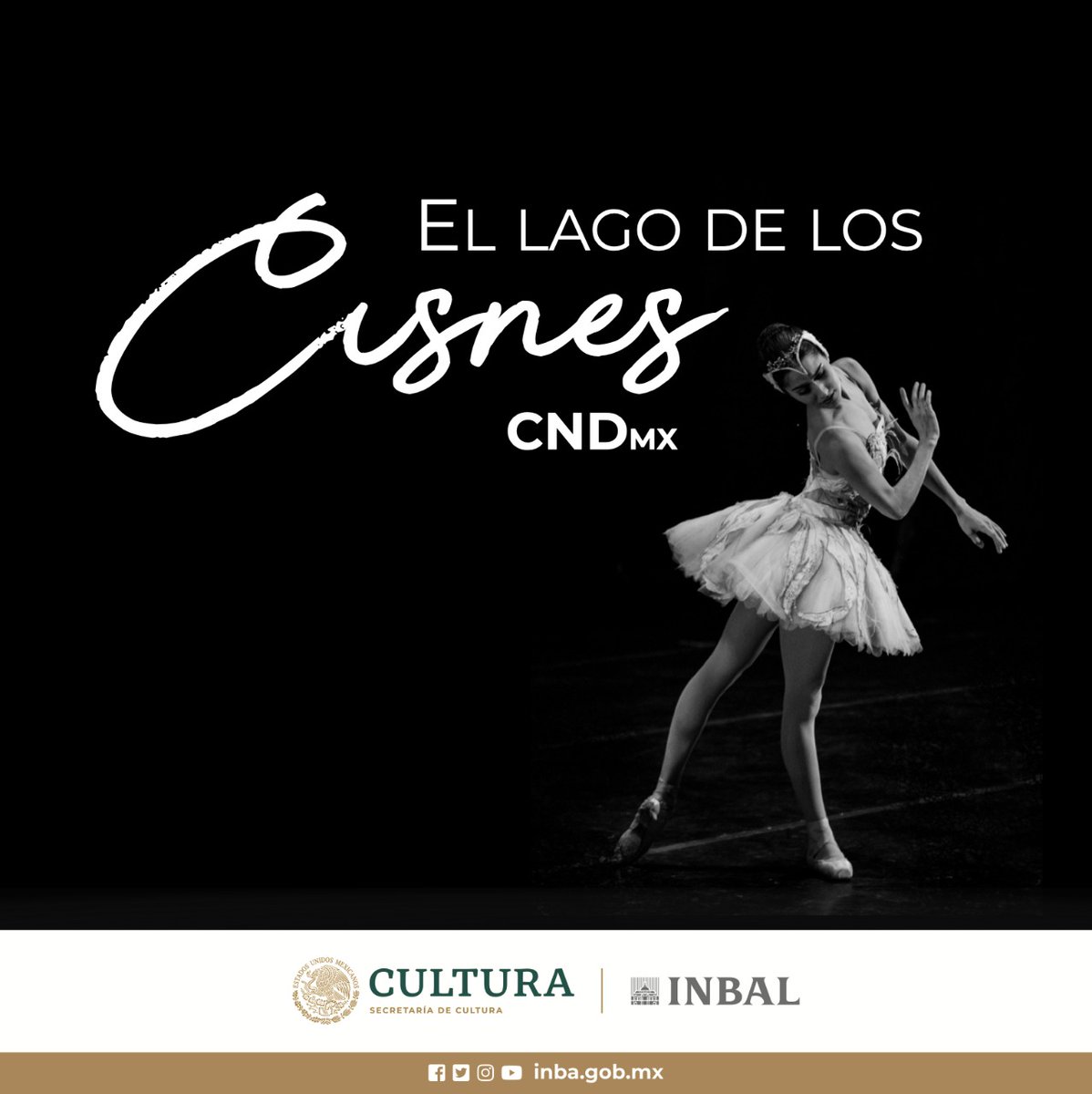 CNDanzaMX's tweet image. Se cumplen 144 años del estreno mundial de uno de los ballets más representativos de la danza clásica: #ElLagoDeLosCisnes, coreografía de Julius Reisinger y música de Tchaikovski, que la CND ha escenificado bajo la visión dancística de Petipa-Ivanov y Mario Galizzi.

#DatoINBAL
