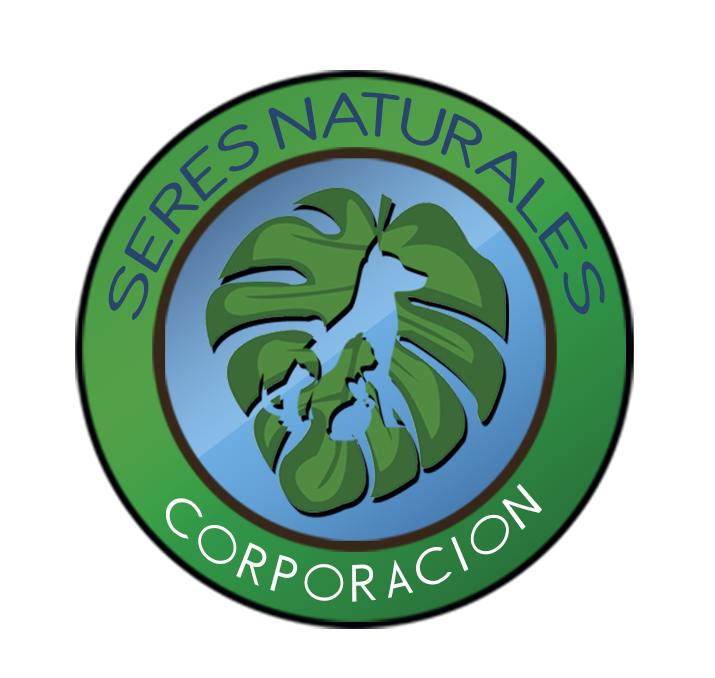 CSeresNaturales's tweet photo. Este 2021 es un año especial para nosotros, CUMPLIMOS 10 AÑOS trabajando por los animales sin hogar del municipio y el medio ambiente. Actualizamos nuestra imagen y nuestras campañas para iniciar una nueva etapa a favor de los seres sin voz.
https://t.co/PdEL6y93jS https://t.co/JM5quq28q1