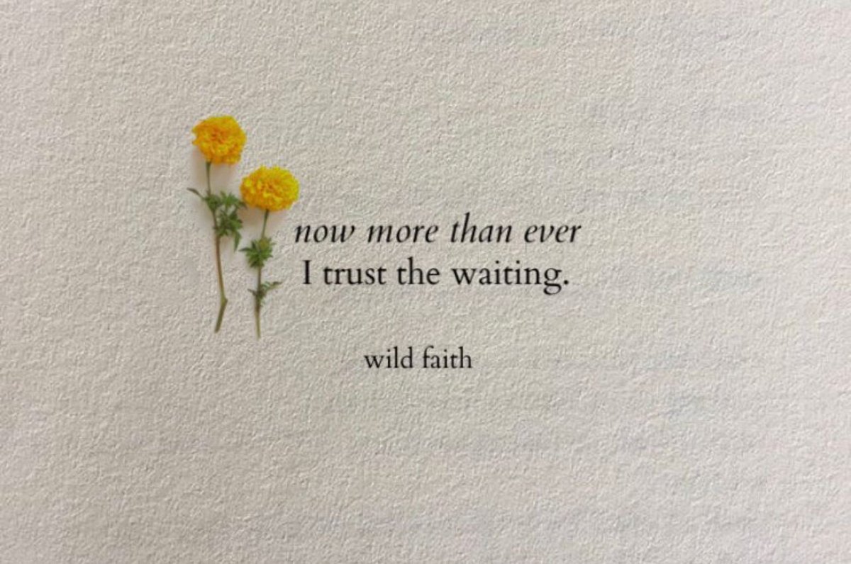 PoemHeaven's tweet photo. i trust the waiting. https://t.co/bfbXWLcFfI