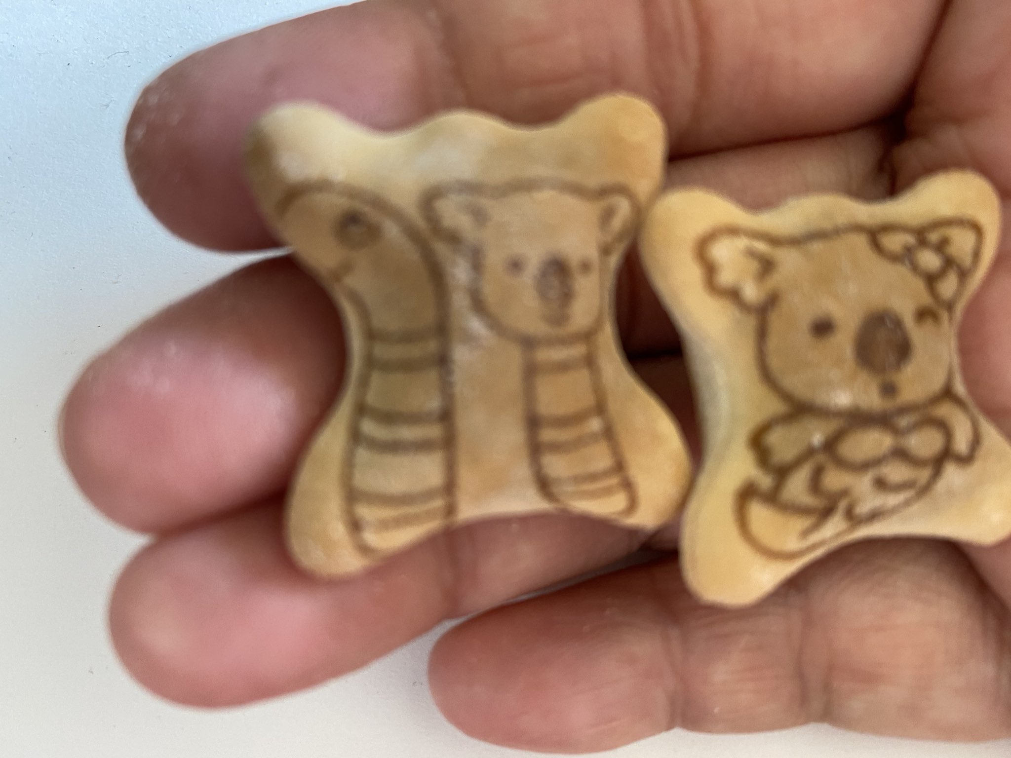 ゴマ コアラのマーチのイラスト 私が知ってるのと随分変わったなあ これはニシキアナゴと人魚だね でも可愛さと美味しさは変わらないね T Co 618nslhsu1 Twitter