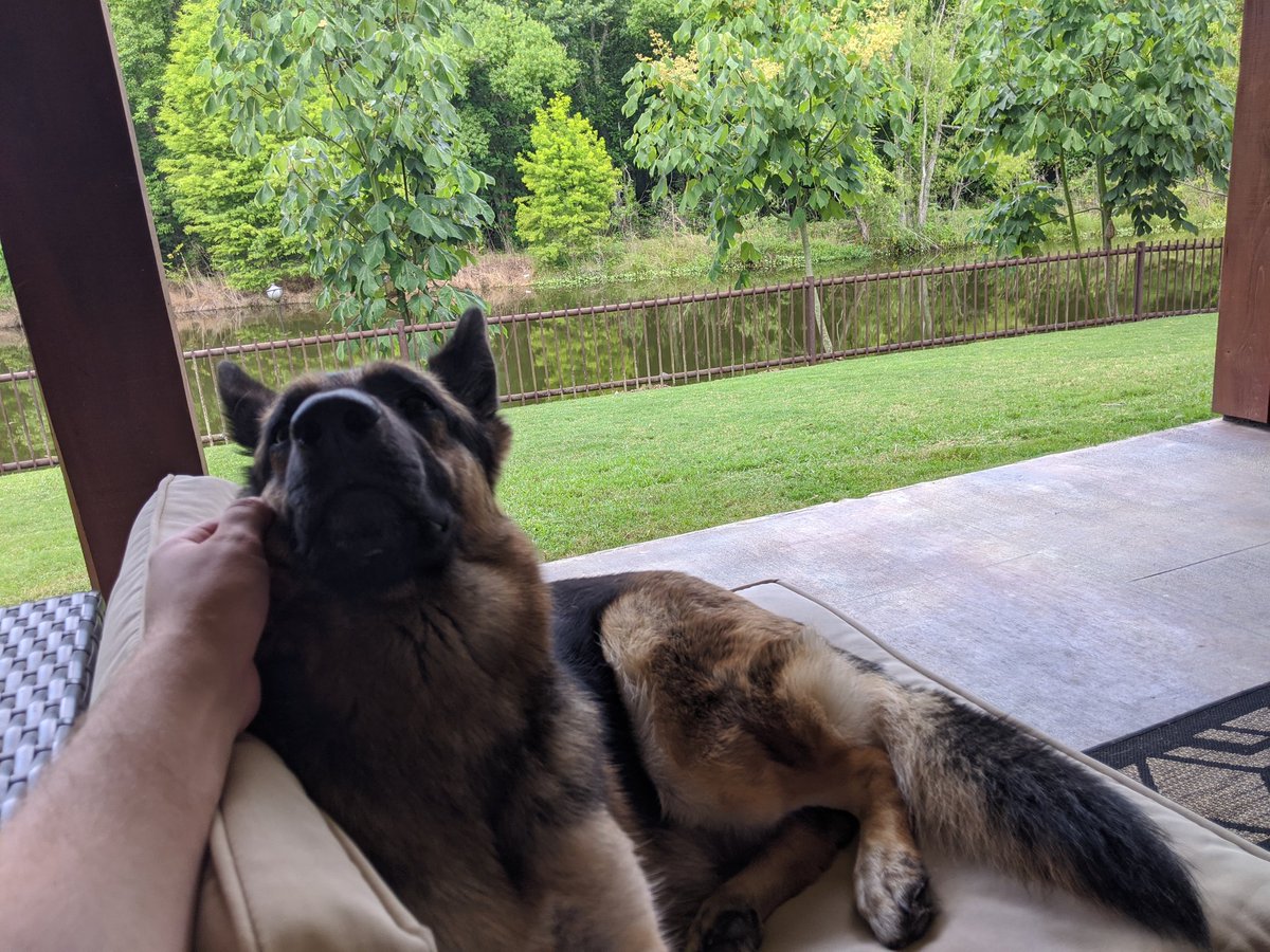 PupStocks's tweet photo. $ECEZ is my dark horse 🐴 watched the bid/ask war all day and feeling optimistic about the accumulation today!
Why aren't more hoomans giving this #Stock a discuss?

#StocksToBuy 
#WoofofWallStreet https://t.co/QQrChYxOUo