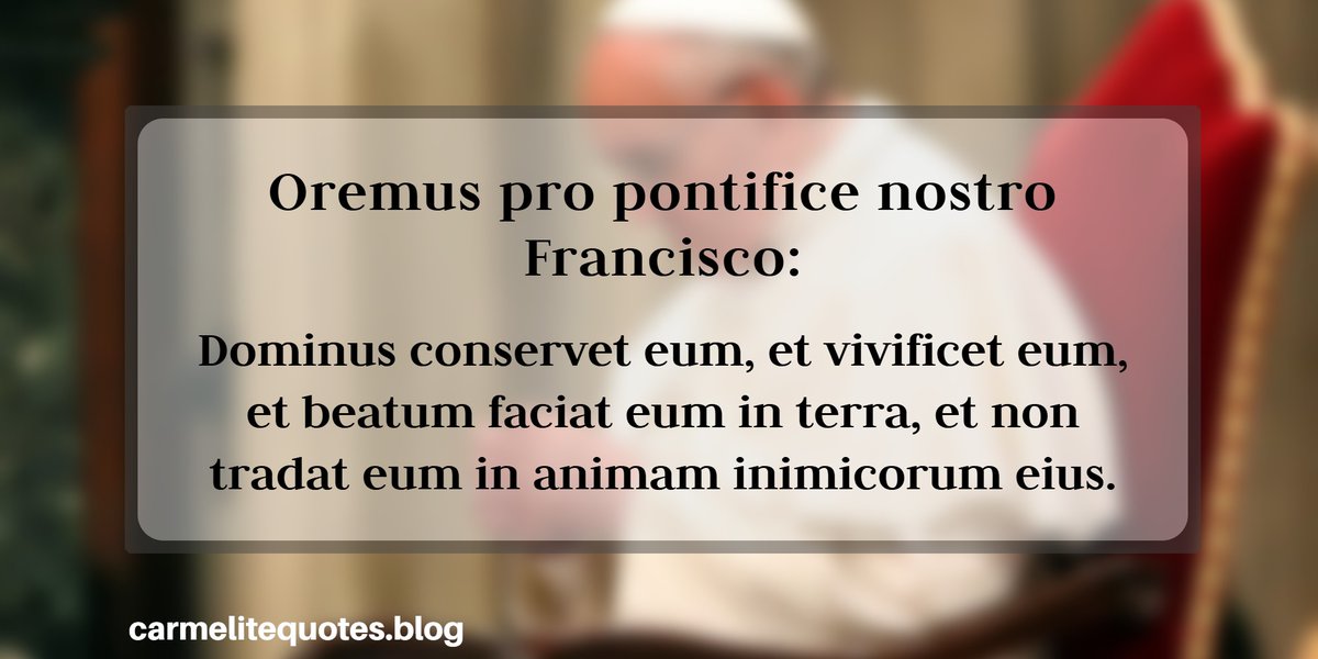 #OremusProPontifice #Franciscus #ChairofStPeter 
@Pontifex_ln @johnbyronkuhner