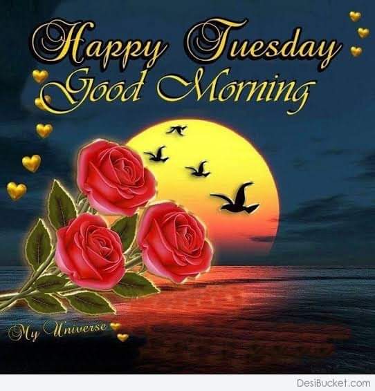 Prabhat98948296's tweet photo. Good morning friends,💥💥💥सुप्रभात मित्रों, 💘💘💘💘💘?。*。?~?xXx
。?。*。Have。?
?。a wonderful Tuesday.
.?´*。.?¨¯`*❤。。? https://t.co/dZrPvrm1Sg