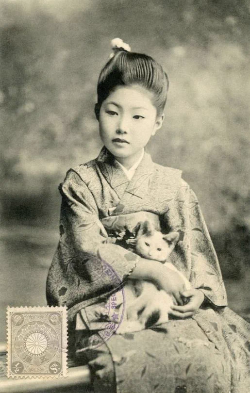 写真を一緒に撮るなら猫！いつの時代だって猫は可愛い