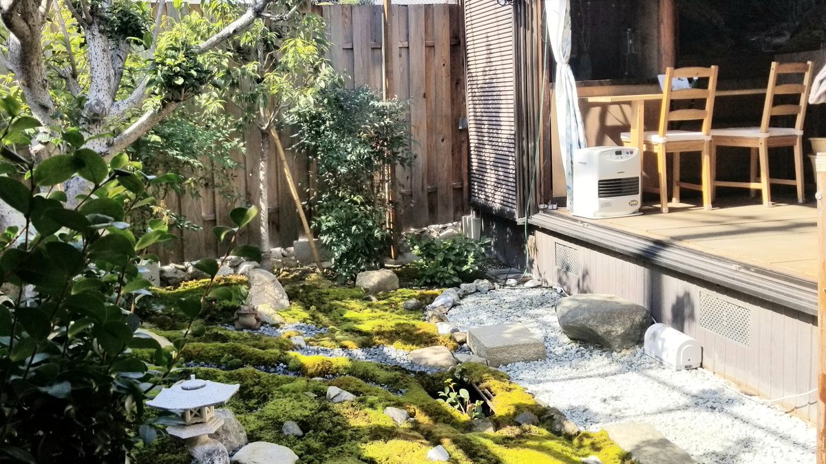 Kin Moku Sei 金木犀 本日営業しております 苔 苔テラリウム ワークショップ 古民家カフェ 隠れ家 マイナスイオン 東大阪 森河内 放出 高井田 深江橋 苔カフェ ほっこりしたい