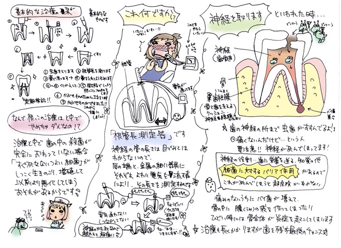 ネ実の歯医者スレで置いてた絵でてきたわ
あの時のメンバーで開業できんじゃないのみたいなこと言ってたね 