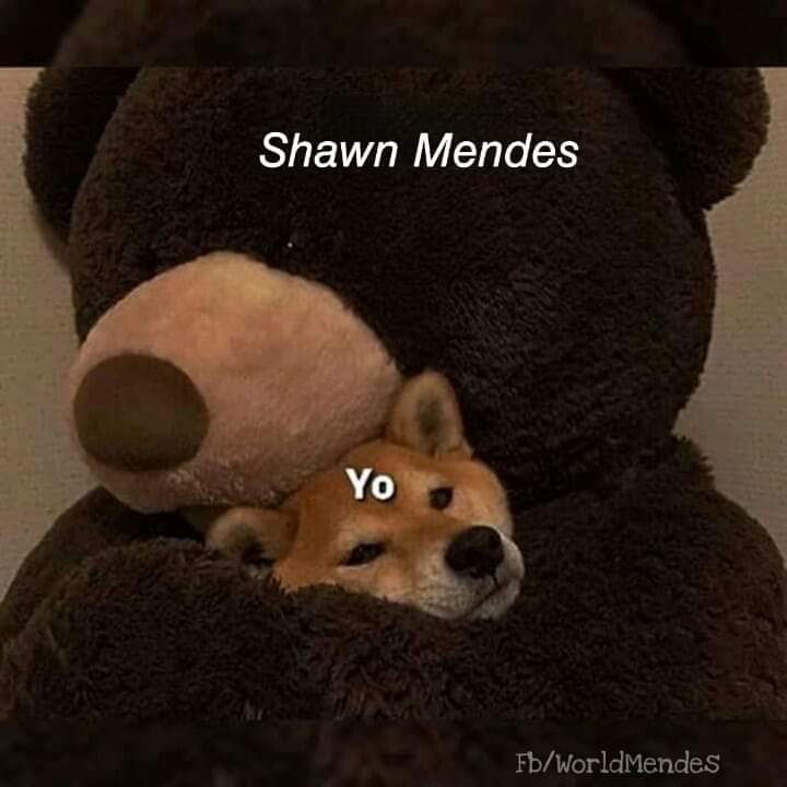 Ya terminé de escuchar el álbum, es hermoso  #Wonder #WonderOutNow #WonderAtMidnight #VoteShawnMendes #KCA