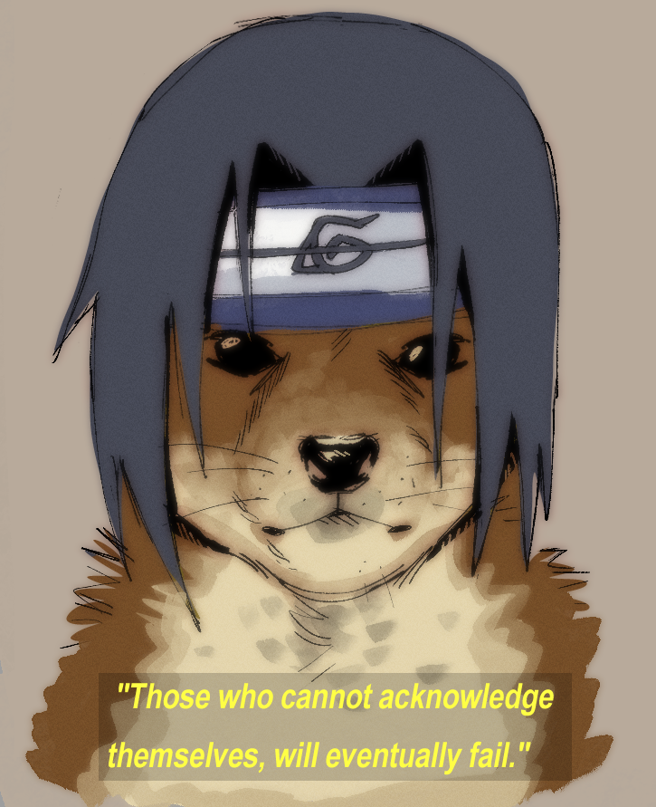 DontFeedTheBirdsDummy tweet media