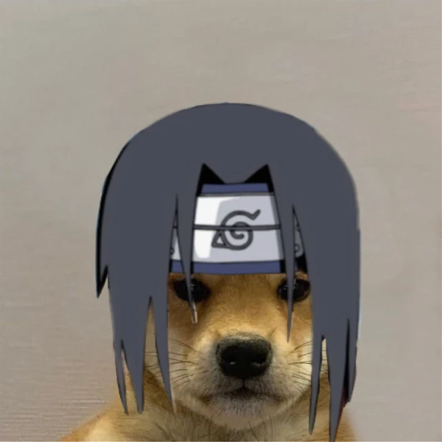 DontFeedTheBirdsDummy tweet media