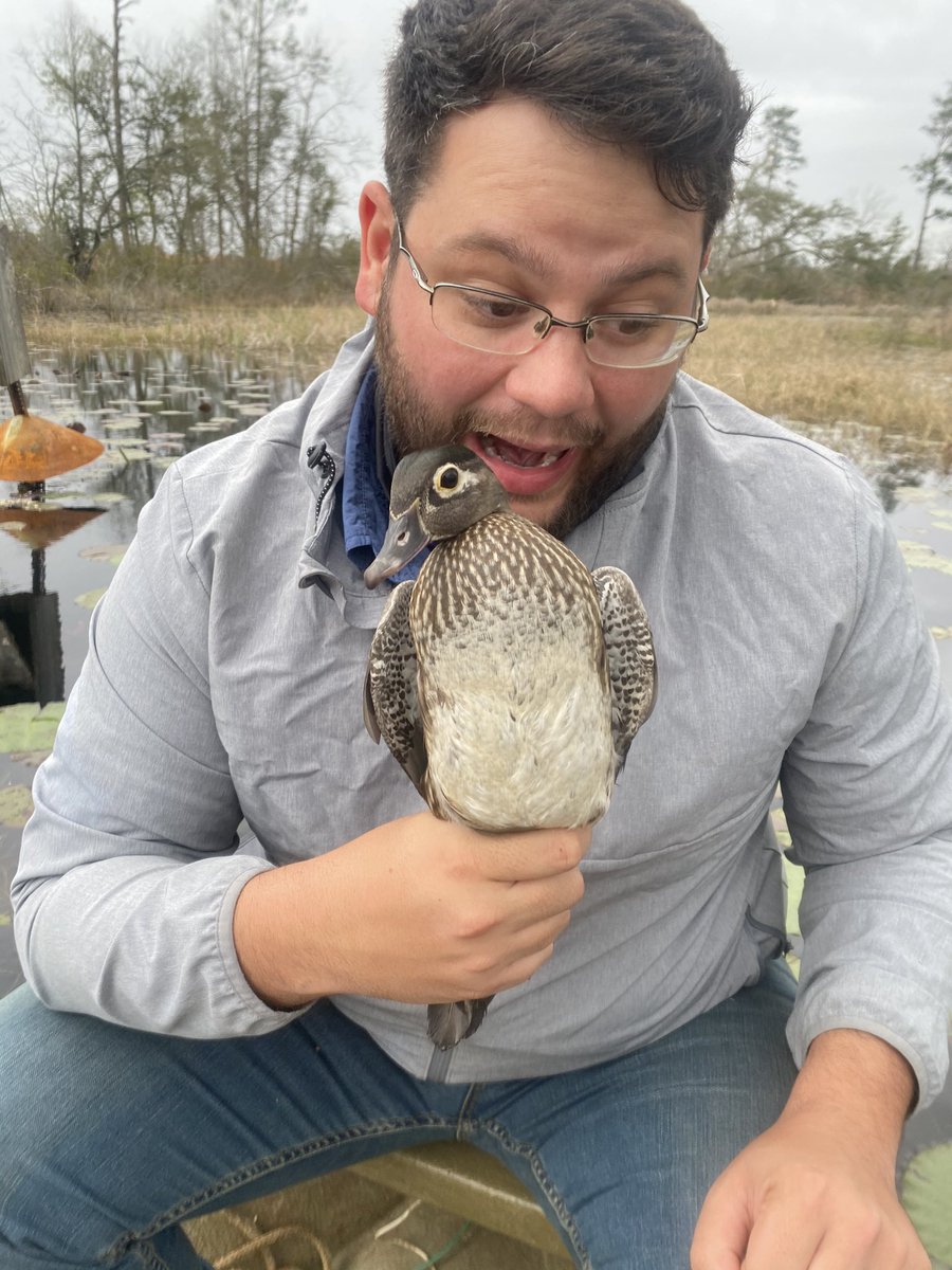 Only two ways to hold a #woodduck, first like hamburger, second like ice cream. #duck #waterfowl #scientist #stem #scicomm #wildlifebiologist