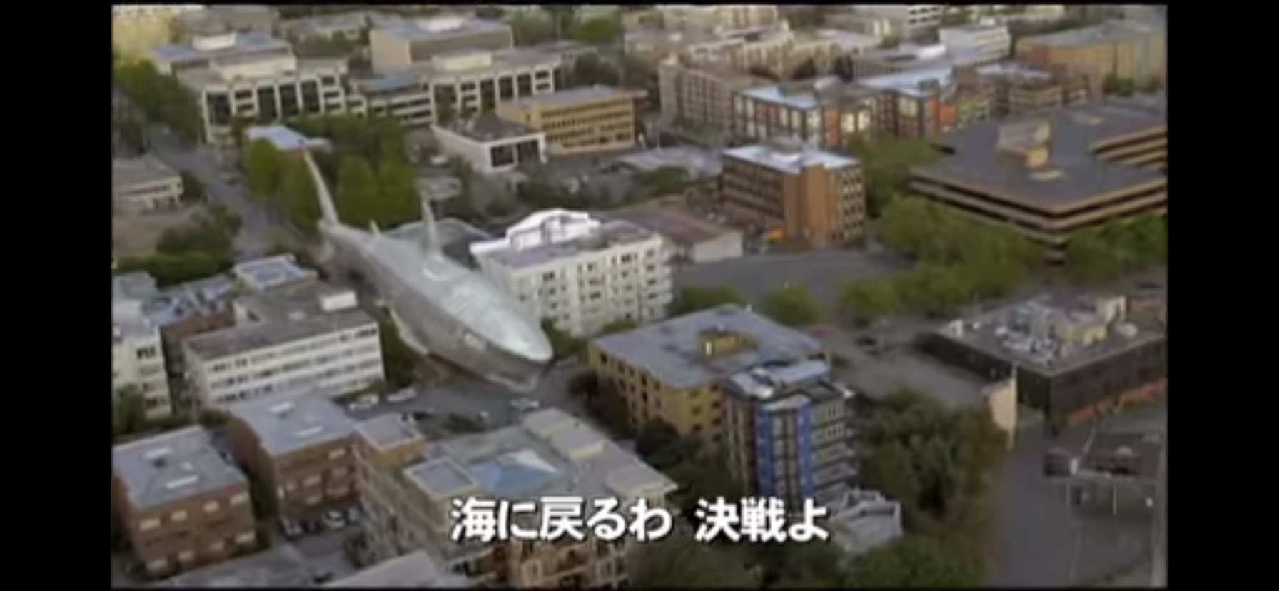 知的風ハット 書籍 サメ映画大全 発売中 ちなみにモルカーならぬキャタピラの付いたサメカーはサメ映画で既出