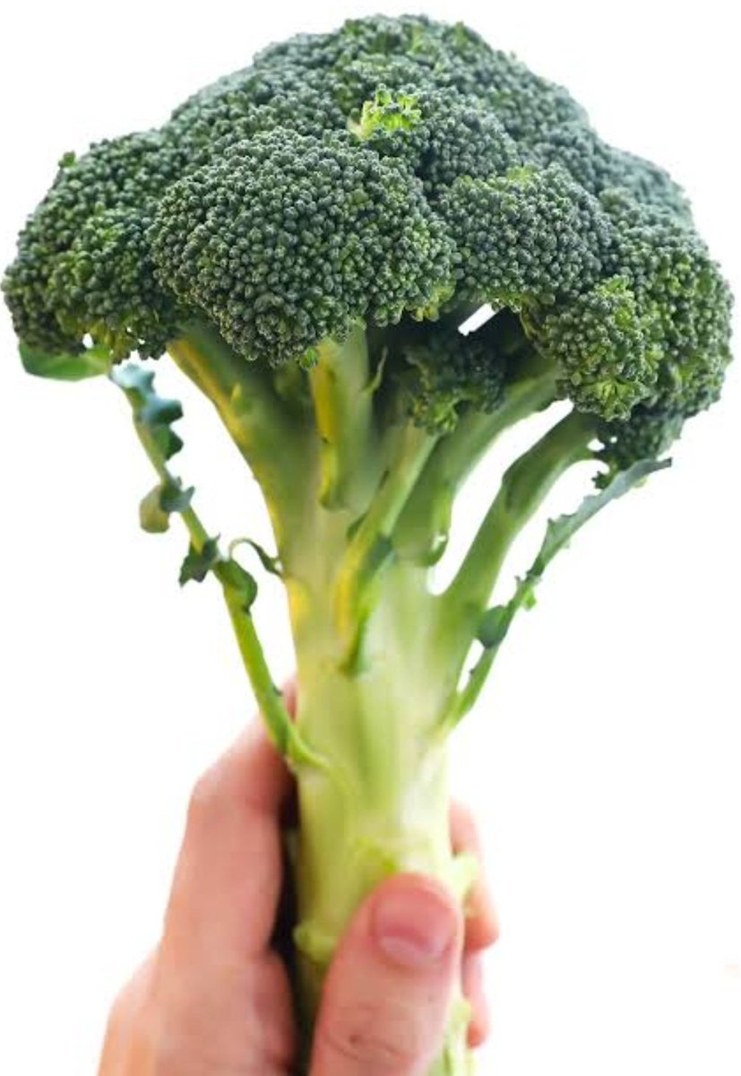 learning_guy_'s tweet photo. Broccoli:
- High dose of nutrients
- Reduces tissue inflammation
- Regulates Blood Sugar
- Good source of Vitamin A & C
- Reduces rush of heart diseases
- Rich Antioxidants
#doyouknow
#dailyhealthtips
#learningguy
#todaylearnt https://t.co/kZI4tV5IBj