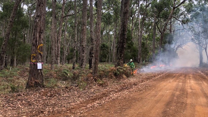 FFMVic's tweet photo. Residents in #Heathmere #Heywood and #Gorae may see and smell smoke from #PlannedBurning at Gorae today. More info can be found at: https://t.co/f4StA1XRqX #FFMVic https://t.co/2CoI7eQ90l