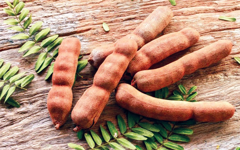 mmahmedmailcom's tweet image. তেঁতুল বিচির পাউডারের  উপকার- 
facebook.com/herbalfoods712…