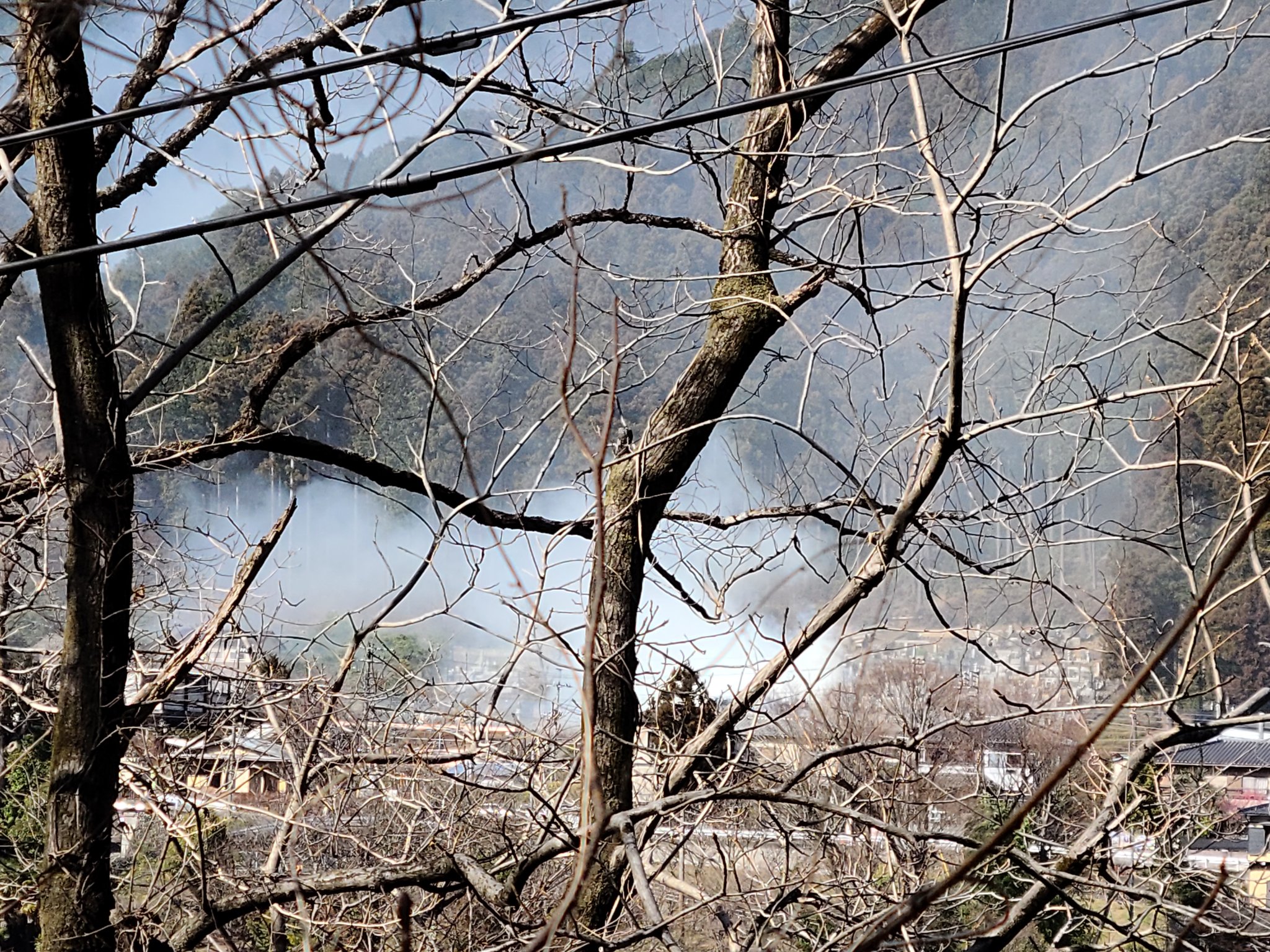 火事 青梅 青梅“山火事”から丸一日 ほぼ消し止める（日本テレビ系（NNN））