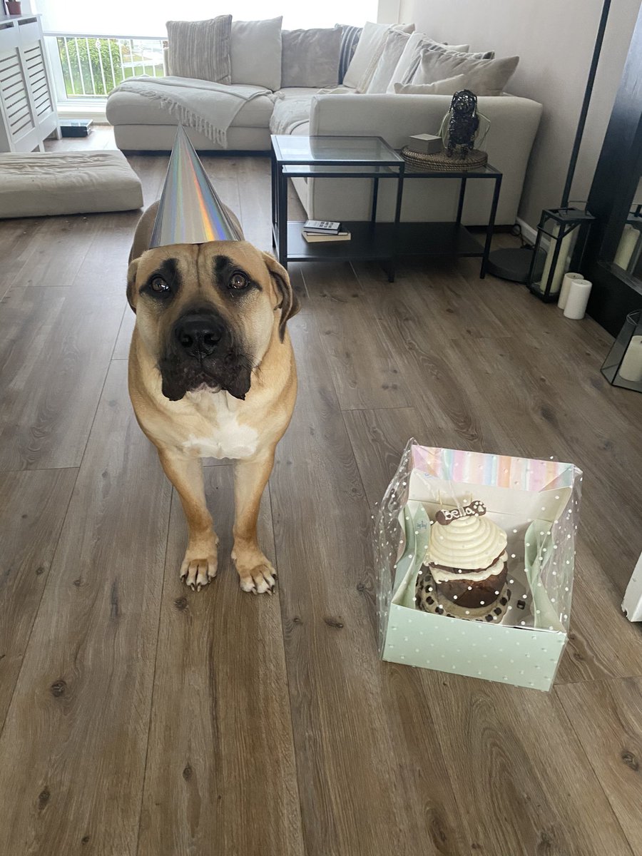 Suzannah Dunning (Suzannah Tasker) tweet media