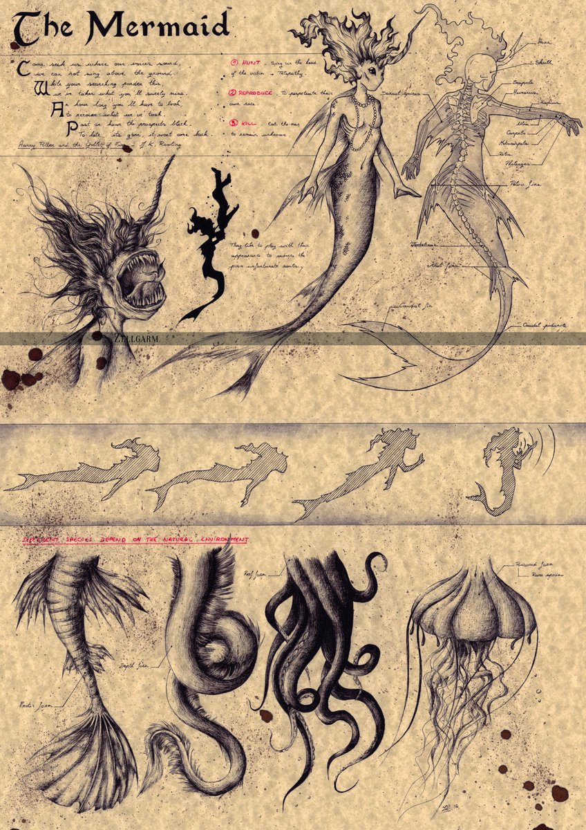 zellgarm's tweet photo. 🕯️ THE MERMAID
I like to draw creatures who are supposed to be cute, and turn them into monstruous ones! Mwahahaa \o/
.
#Mermaid #art #fantasy #Deepone https://t.co/EvHewlI5nz