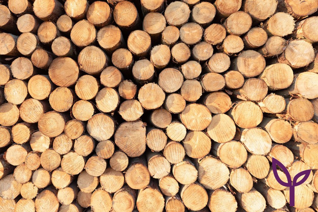 ConsultingAcs's tweet image. Do you have a complex #arboricultural case? We thrive on a challenge! In every project we apply our experience to offer tailored solutions that go beyond a standard approach. #treeconsulting #treemanagement