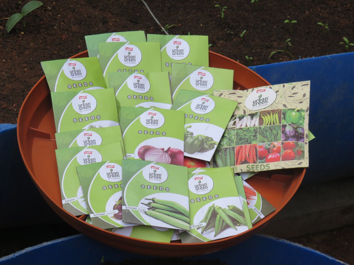UrbanGreenIndia's tweet photo. Good quality seeds give a good Harvest! 
Select quality seeds from https://t.co/4Ge9xiHoEi

Check out our 21 varieties of vegetable seeds and Go gardening! 

For more information call us at 84530 84530/ 9036999422 https://t.co/85AgVhDi9O