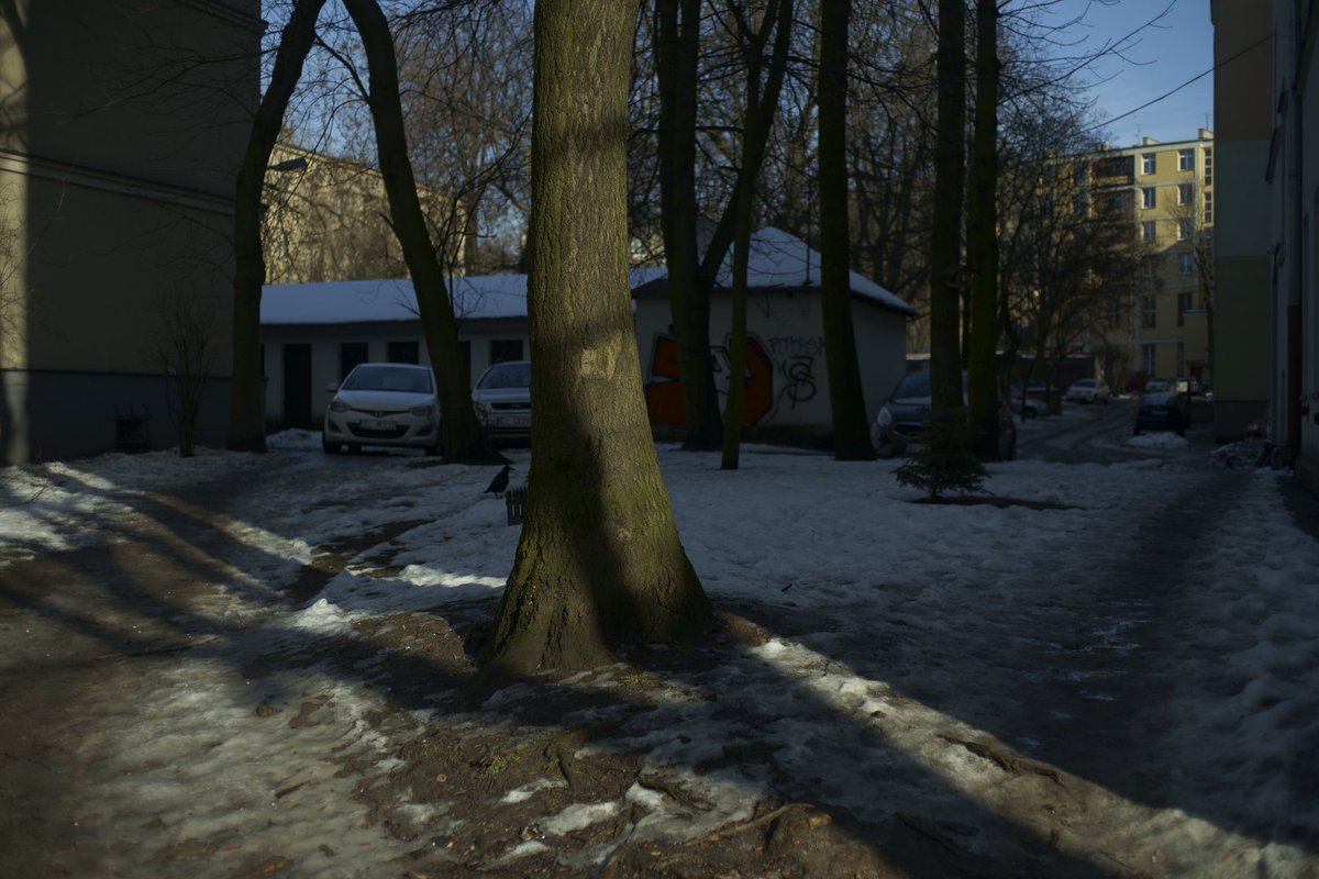 From series “City Of Birds”. Lodz, Poland, Winter 2020/2021. More photographs: aboutlandscapes.com #landscape #photography #Lodz #Poland #aboutlandscapes