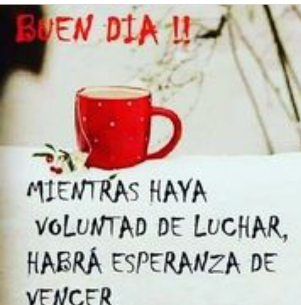 MiluMilu15's tweet photo. Buenos Días https://t.co/9RQg84GGZm