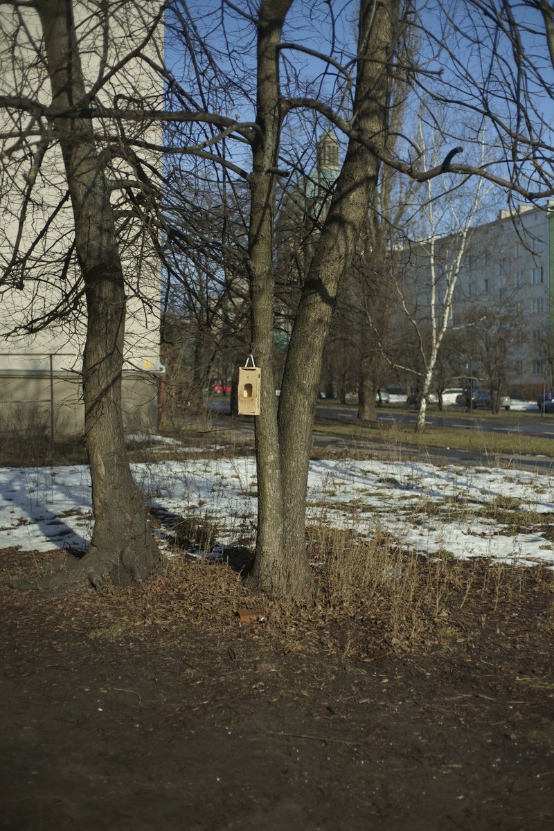From series “City Of Birds”. Lodz, Poland, Winter 2020/2021. More photographs: aboutlandscapes.com #landscape #photography #Lodz #Poland #aboutlandscapes