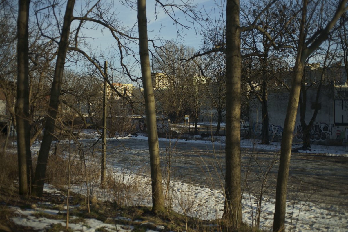 From series “City Of Birds”. Lodz, Poland, Winter 2020/2021. More photographs: aboutlandscapes.com #landscape #photography #Lodz #Poland #aboutlandscapes