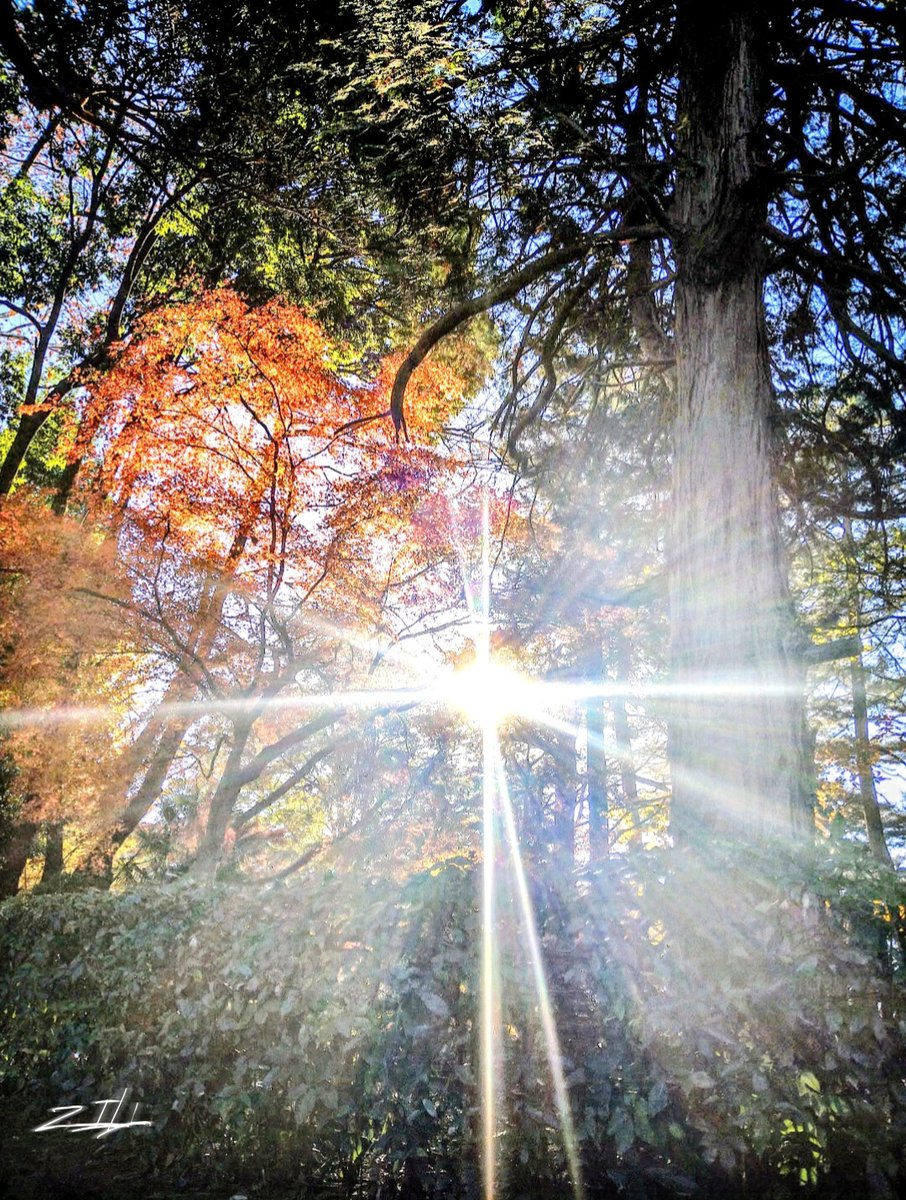 zillannie's tweet image. 3日前のなんだけど……
すごいのが
ありました……👀✨✨
#ファインダーの越しの私の世界
#写真好きな人と繋がりたい
#写真撮っている人と繋がりたい
#Android
#Photography
#神社仏閣
#朝陽
#過去pic
#朝活