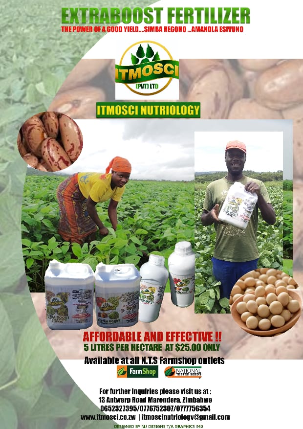 ItmosciFert's tweet photo. @VimbaiLisah Congratulations for trying out Agriculture. 

You have WON 5 litres ( for 1 ha) of #ExtraBoostFertilizer to spray at 4 weeks after emergence!

Kindly get in touch with Dennis on 0652327395
#ZIMYOUTHINAGRICULTURE https://t.co/9lV3Qe1qgx