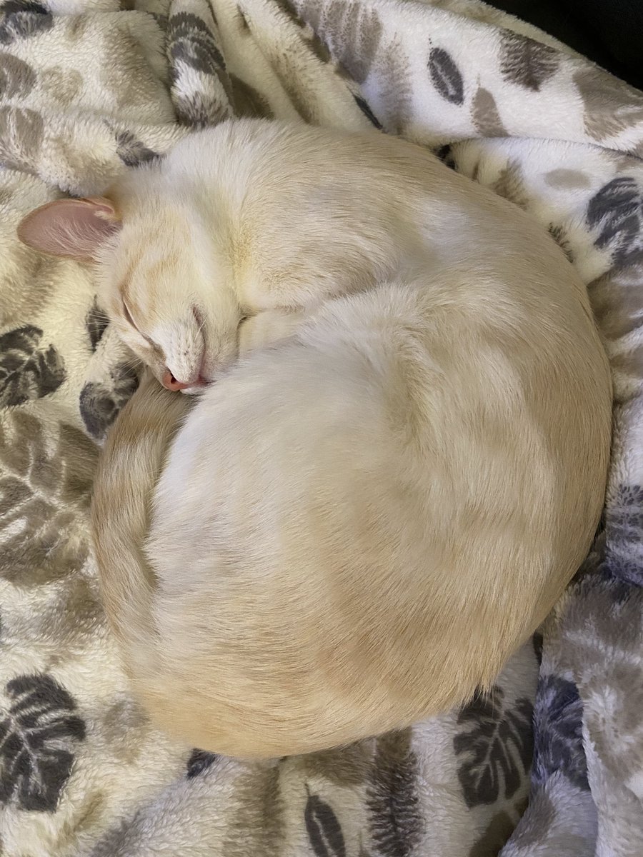 J⚾️ANNA tweet media