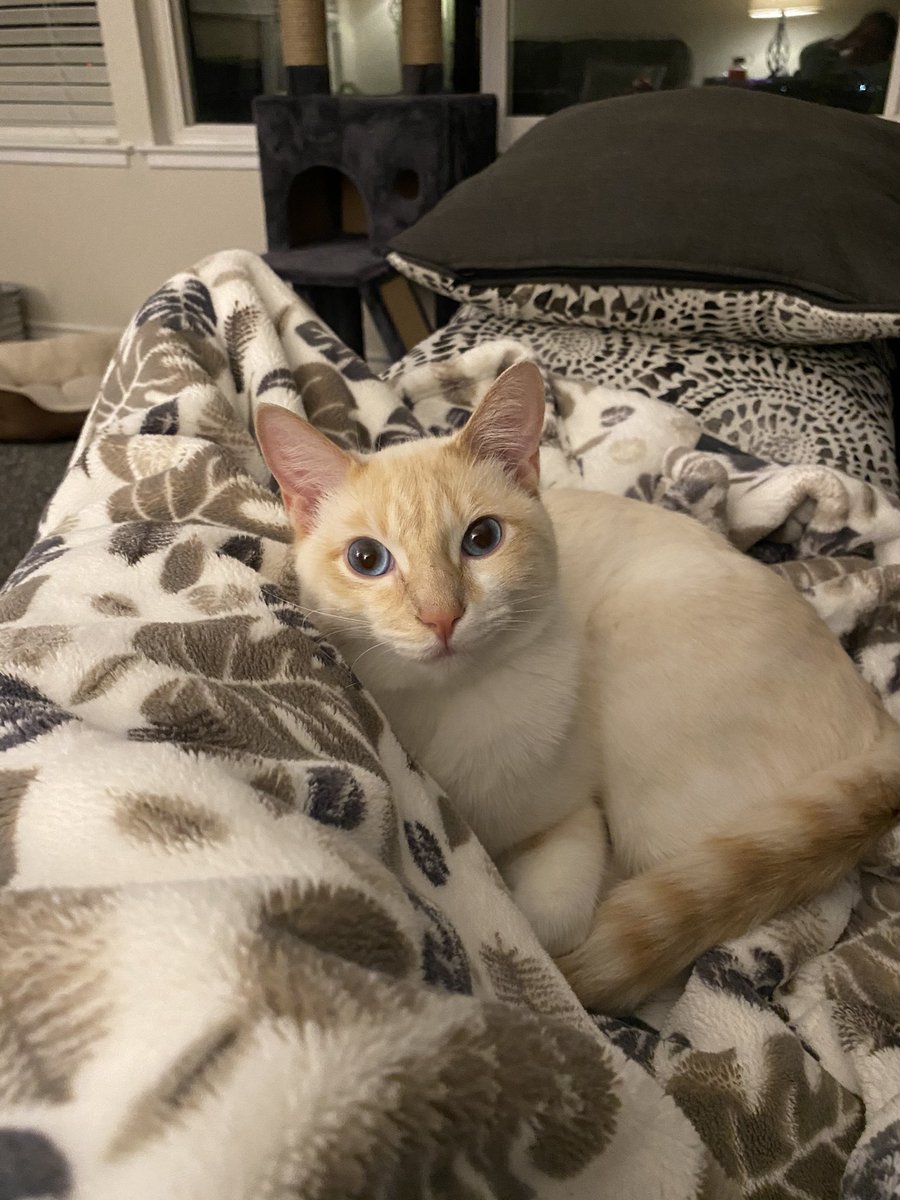 J⚾️ANNA tweet media