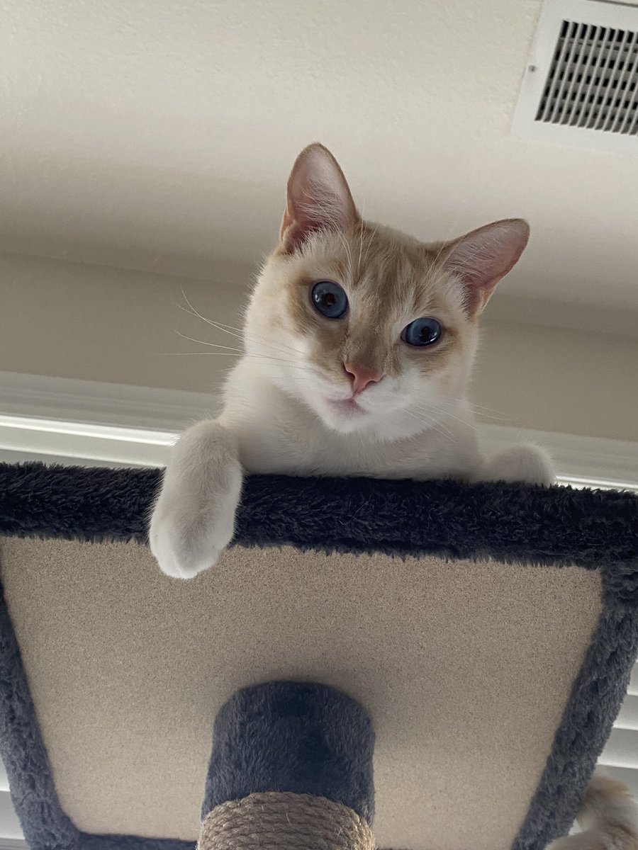 J⚾️ANNA tweet media