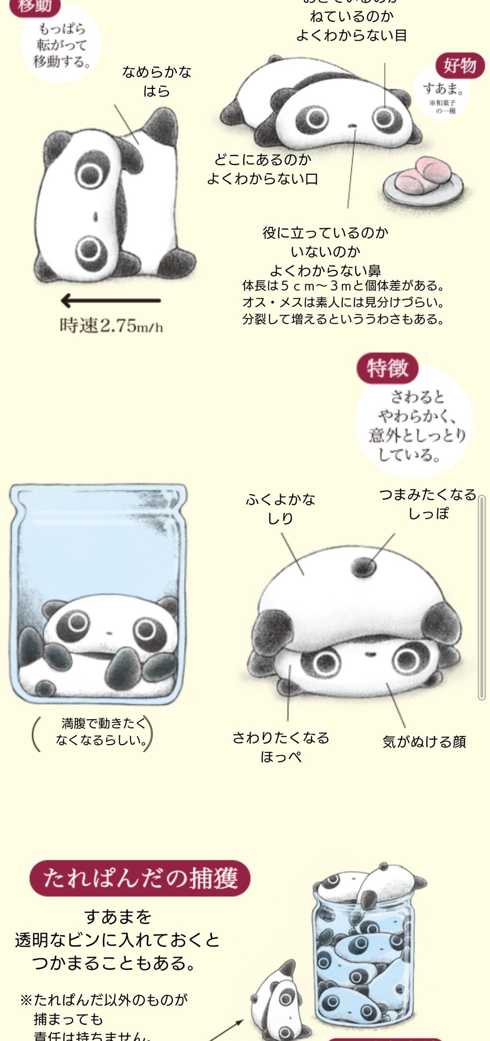 ｼ ﾌﾞﾘ ﾝ ｶﾞ ﾙ 人類はたれぱんだが最強にかわいいことに気付いて T Co 8dcieq8rnh Twitter