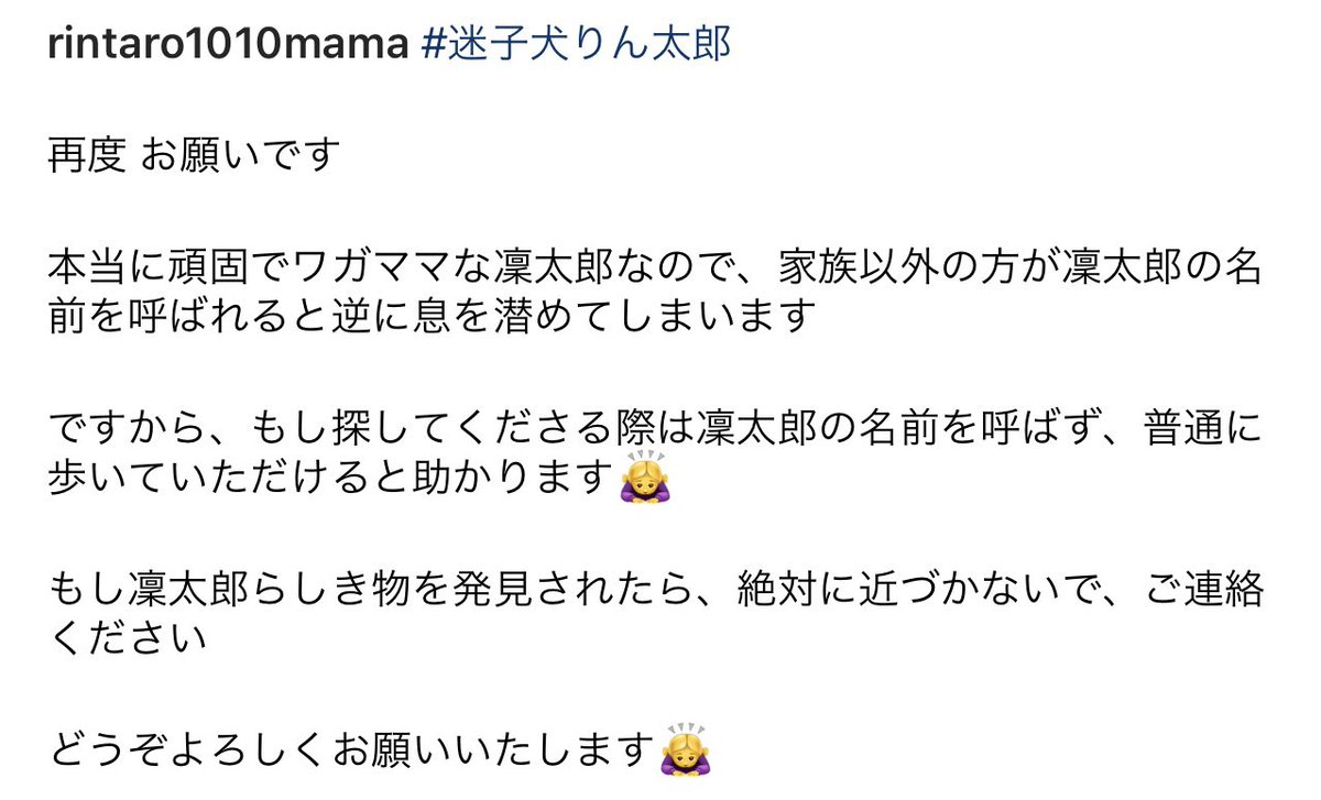 rintaro_maigo's tweet photo. #迷子犬りん太郎 くんを探しています！

⚠️#見つけたらすぐにお電話ください

#迷子犬りんたろう #迷子犬凜太郎
#迷子犬凛太郎 #黒い犬 #黒 #小型犬
#りん太郎 #福岡迷子犬 #保護
#福岡 #福岡犬 #天拝山駅
#チワックス #チワワ 
#ミックス #筑紫野市 #イオン筑紫野
#天拝湖 #天拝山 #筑紫野 #二日市 https://t.co/dvGhFKRvgx