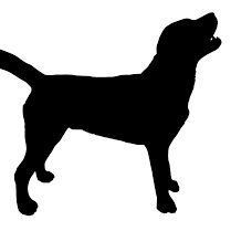 Join @TeamBlackDogMT1   Sessions start on Saturday May 1st 2021 between 10am &amp; 11.30am.   If your child is in school years 3 to 5 and would like to get involved email blackdogmtbandcx@gmail.com #MTB #PhilipsPark #GreaterManchester <a href="/WeAreCyclingUK/">Cycling UK</a> <a href="/CyclingUK_NW/">Cycling UK North West</a> <a href="/Raring2goBury/">Raring2go! Bury</a>