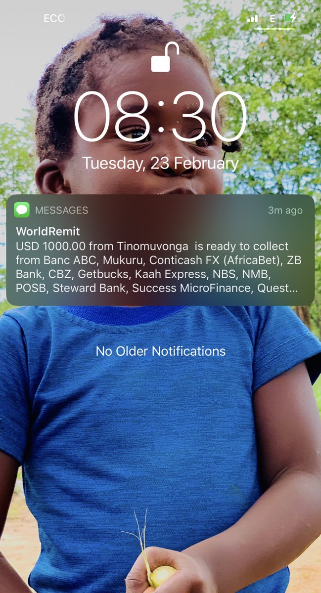 The Prince Machiavelli (@terrymap1) on Twitter photo 😭😭😭 May you kindly give this man some hearts. 🙏🏿🙏🏿🙏🏿. All progress shall be posted on this tweet. <a href="/tinochiremba/">Tino Chiremba</a> the Lord knows how grateful i am for the borehole big step. Mkoma Mwari ngaakuitirei zvikobvu. I wish the same for farmers like me😭😭 😭😭😭 May you kindly give this man some hearts. 🙏🏿🙏🏿🙏🏿. All progress shall be posted on this tweet. <a href="/tinochiremba/">Tino Chiremba</a> the Lord knows how grateful i am for the borehole big step. Mkoma Mwari ngaakuitirei zvikobvu. I wish the same for farmers like me😭😭