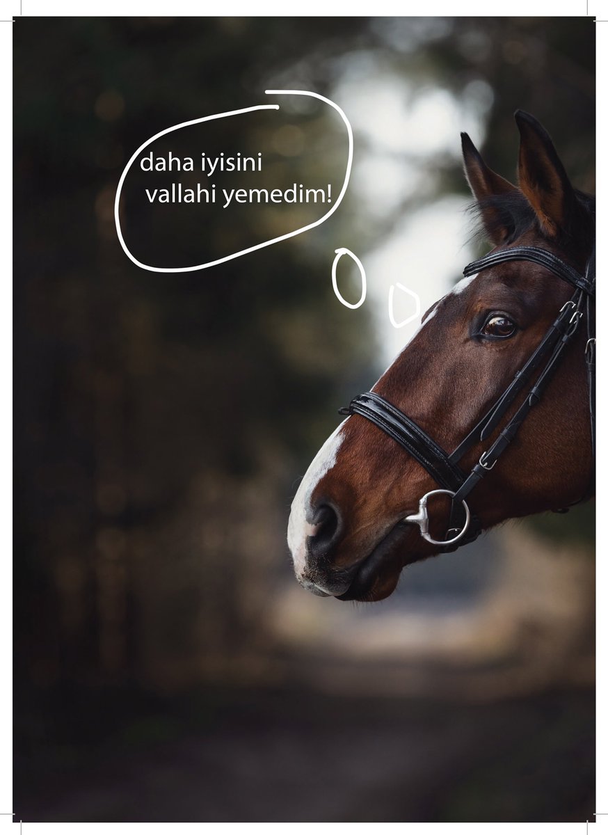 premiumfeed's tweet photo. Kendimizinde yediği oluyor. https://t.co/uee42ssaZR