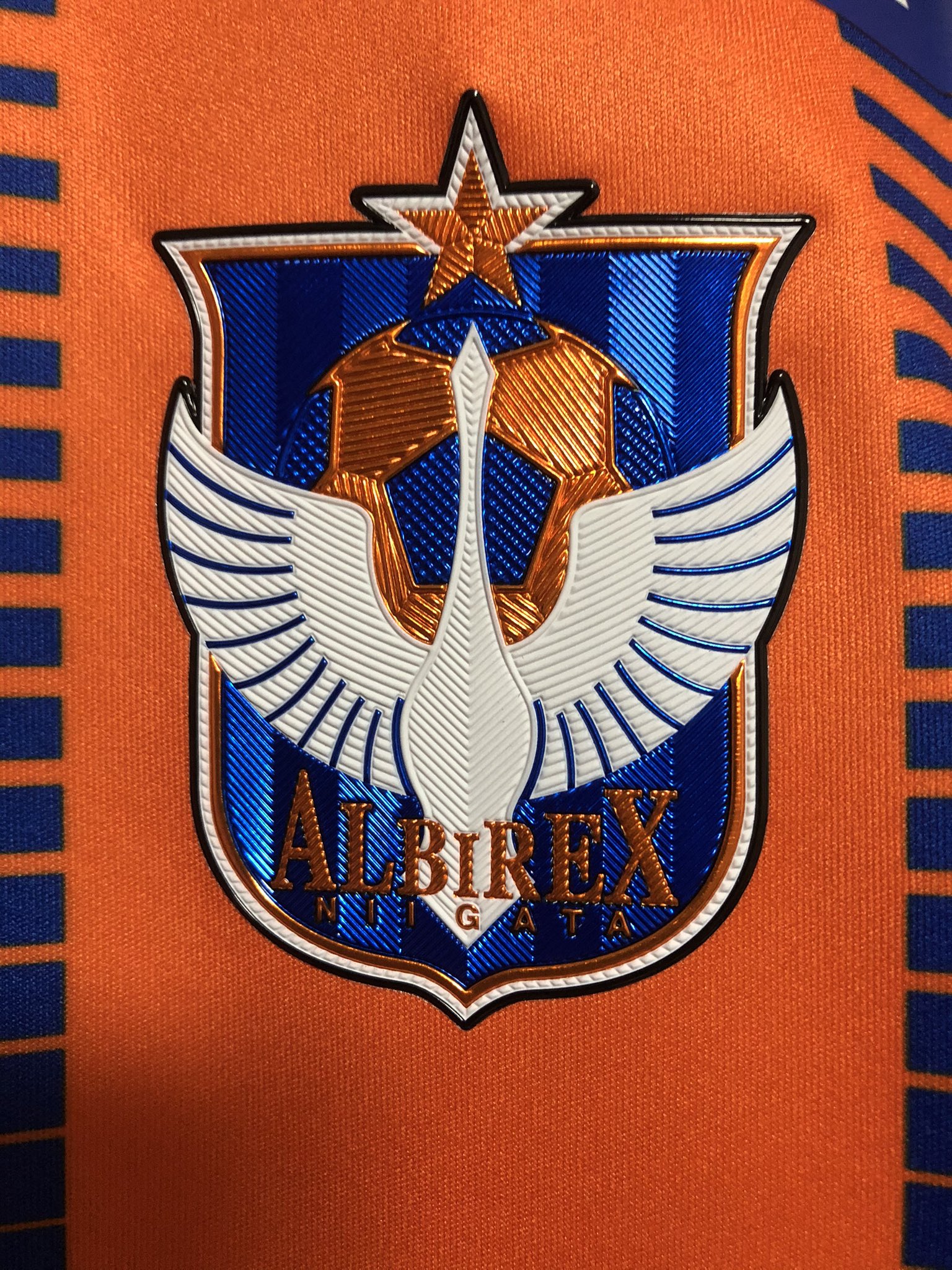 パパジュニオール アルビレックス新潟21年ユニフォーム届いた 開幕前に無事ゲット 今年のユニフォームは本当にかっこいい エンブレムの光沢感も凄い 14番fw田中達也選手のネーム入り ゴールドも目立ちます アルビレックス Albirex Pr