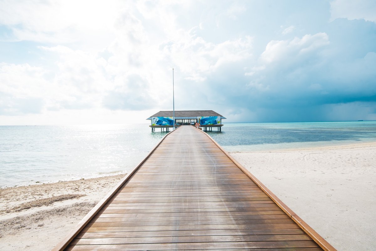 samhallphoto's tweet photo. 'Once you have travelled, the voyage never ends.'
-
#travel #vacation #holiday #travellife #travellifestyle
#Maldives #Pullman #PullmanMaldives #maldives #travel #beach #nature #travelphotography #paradise #sunset #maldiveslovers #islandlife #photography #island #travelblogger https://t.co/5FCjETsyVj