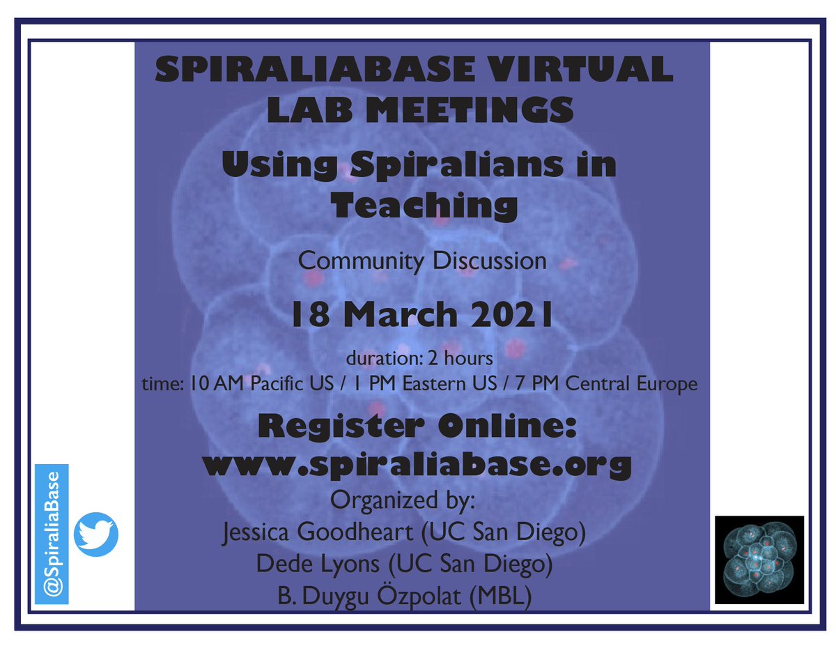Now for something new.  Do you use Spiralians/Lophotrochozoans in your lab classes? In outreach activities in schools or museums?
Have you done at home experiments with them during the pandemic?  Share it at our Virtual Lab Mtg!
DM us by 3/1 for info on presenting.  Please RT!
