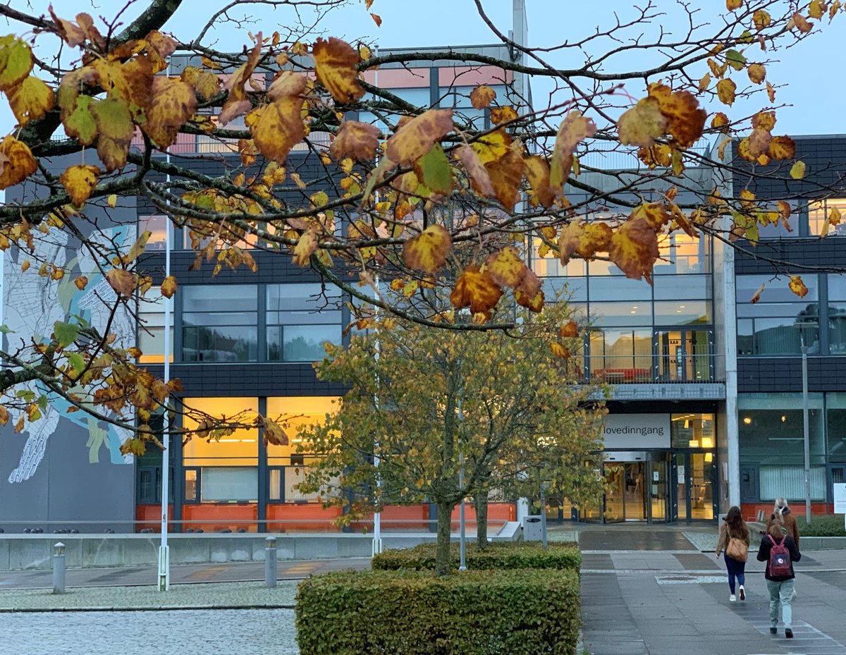 Universitetet i Stavanger tweet media