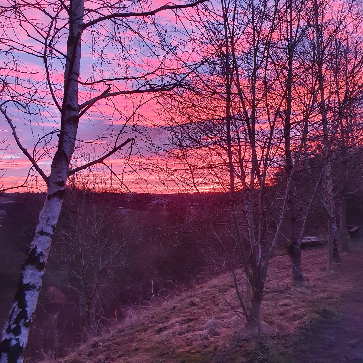 sharonRVN's tweet photo. Benefits of early morning cycle 🥰
#cycling #keyworkers #ridetowork
#worktoride #FeelGood https://t.co/miJei1X7si